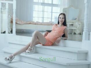 Songull