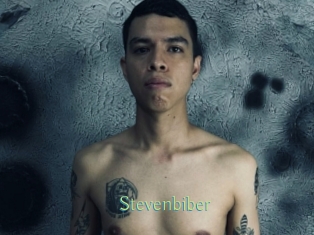 Stevenbiber