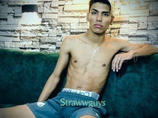 strawwguys Motion X