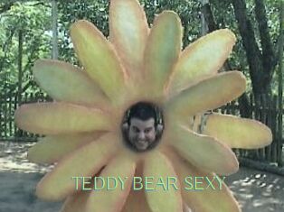 TEDDY_BEAR_SEXY
