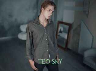 TEO_SKY