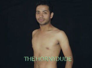 THEHORNYDUDE