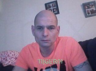 TIJGER01