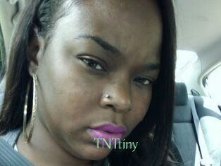 T_N_Ttiny