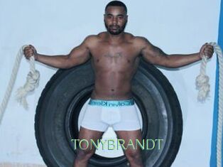 TONYBRANDT