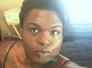 TS_Shea