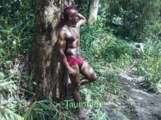 Tauro_Hott
