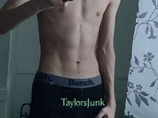 TaylorsJunk