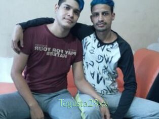 Tegusta29xx Motion X