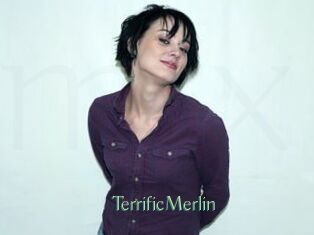 TerrificMerlin