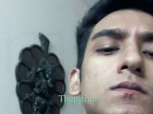 Thepythton