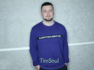 TimSoul