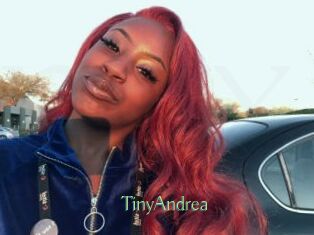 TinyAndrea