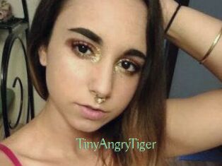 TinyAngryTiger
