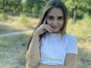 TinyGorgeous