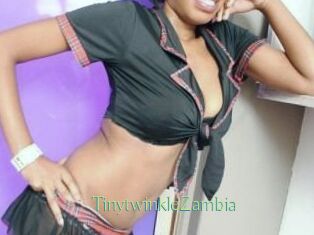 TinytwinkleZambia Motion X