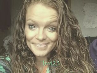 Torri23