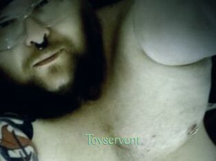 Toyservent