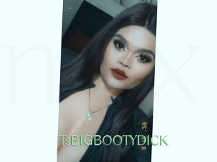 TsBIGBOOTYDICK
