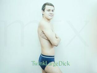 TwinkLargeDick Motion X