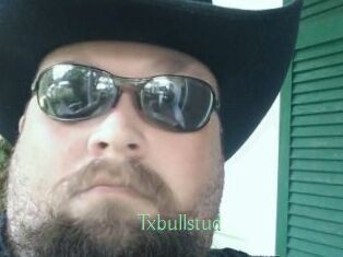 Txbullstud