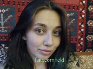 Taitecornfield