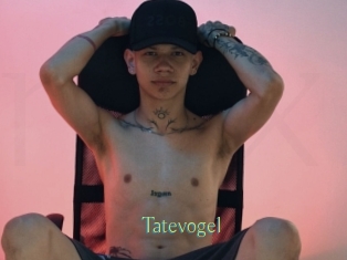 Tatevogel