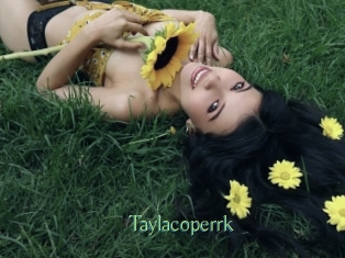 Taylacoperrk