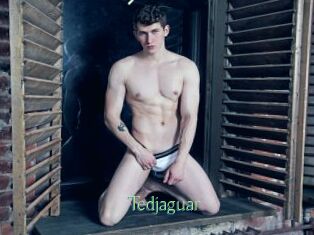Tedjaguar