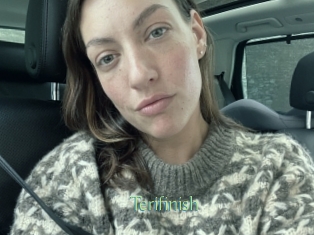 Terifinish
