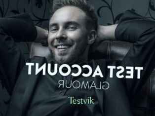 Testvik