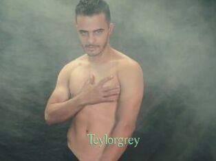Teylorgrey
