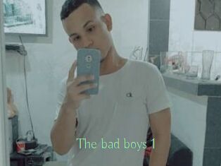 The_bad_boys_1