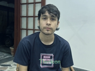 Theoleon