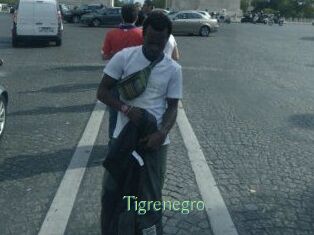 Tigrenegro