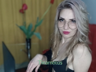 tinamotus Motion X