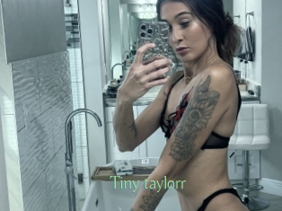 Tiny_taylorr