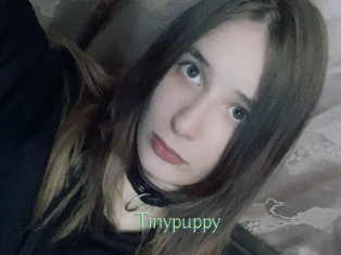 Tinypuppy