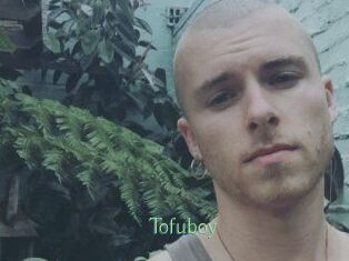 Tofu_boy