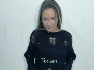 Torisan