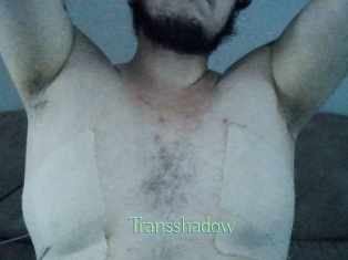 Transshadow