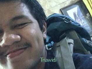 Triawidi