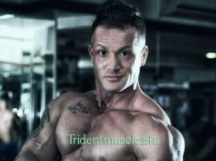 Tridentmuscles4u