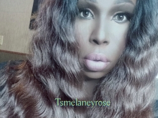 Tsmelaneyrose