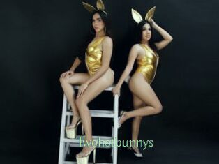 Twohotbunnys