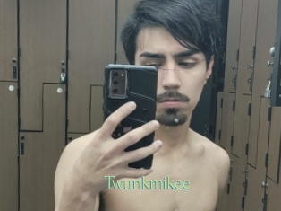 Twunkmikee