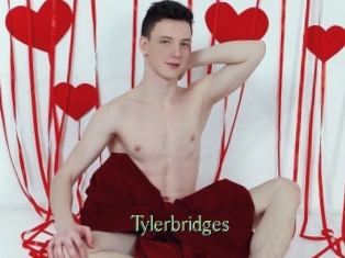 tylerbridges Motion X