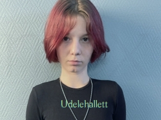 Udelehallett