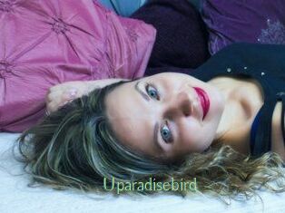 Uparadisebird