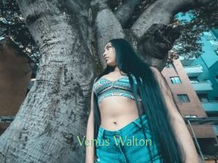 Venus_Walton
